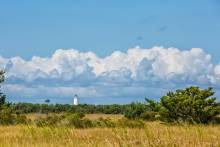 2017 OCRACOKE FIG FESTIVAL RECAP