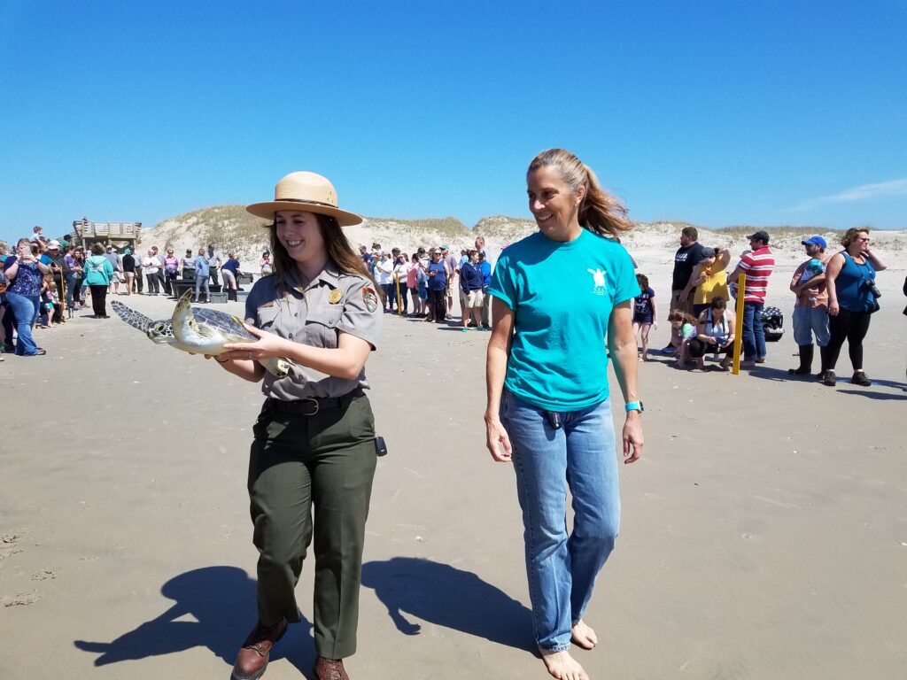 SEA TURTLE RELEASE ON OCRACOKE ISLAND