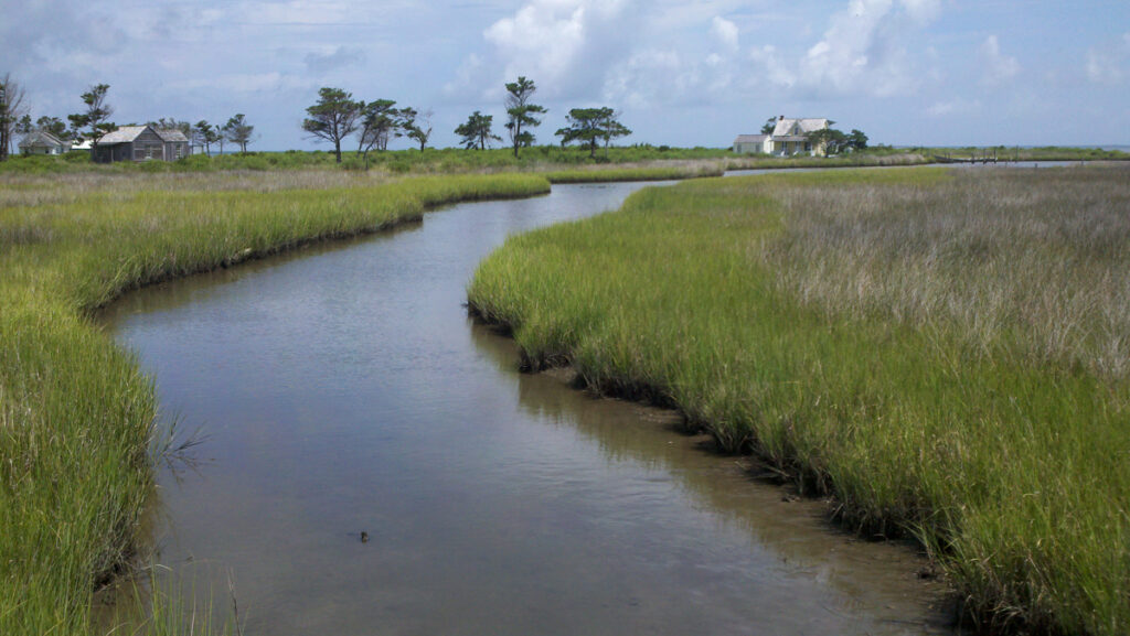 PORTSMOUTH ISLAND HOMECOMING