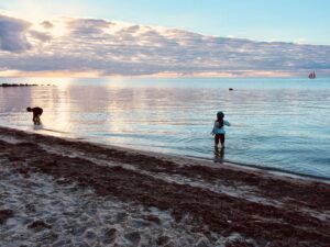 Kids Playing at Springer's Point
