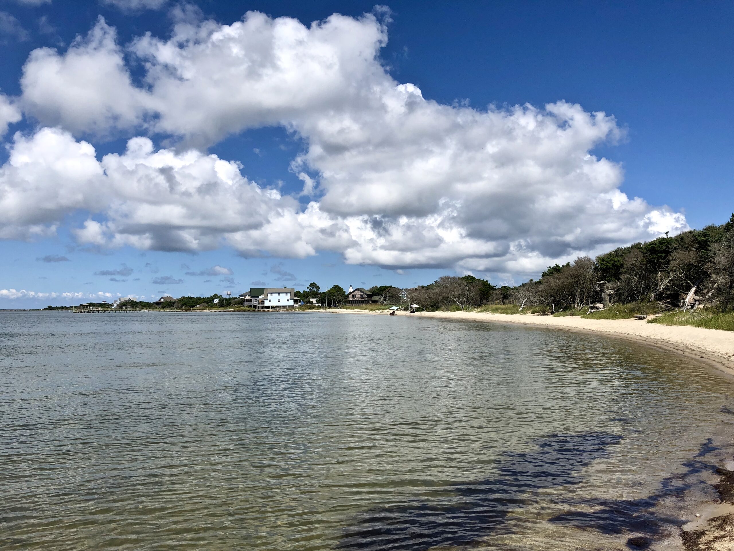 Springer's Point