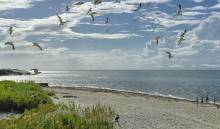 5 THINGS TO DO ON OCRACOKE ISLAND DURING SPRING