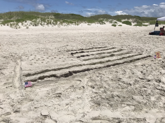 Sand Sculpture