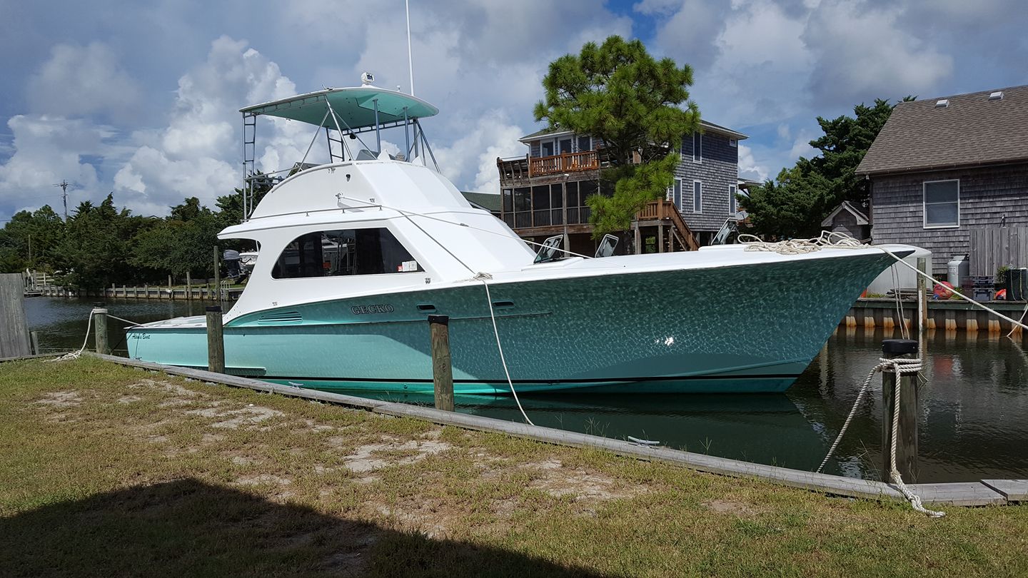 Things To Do Gecko Sport Fishing